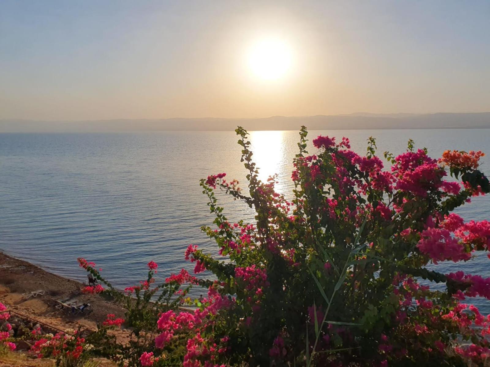 Comfy Stays: Sea View Apartments at Deadsea Samarah Resort Sweimeh Exterior photo